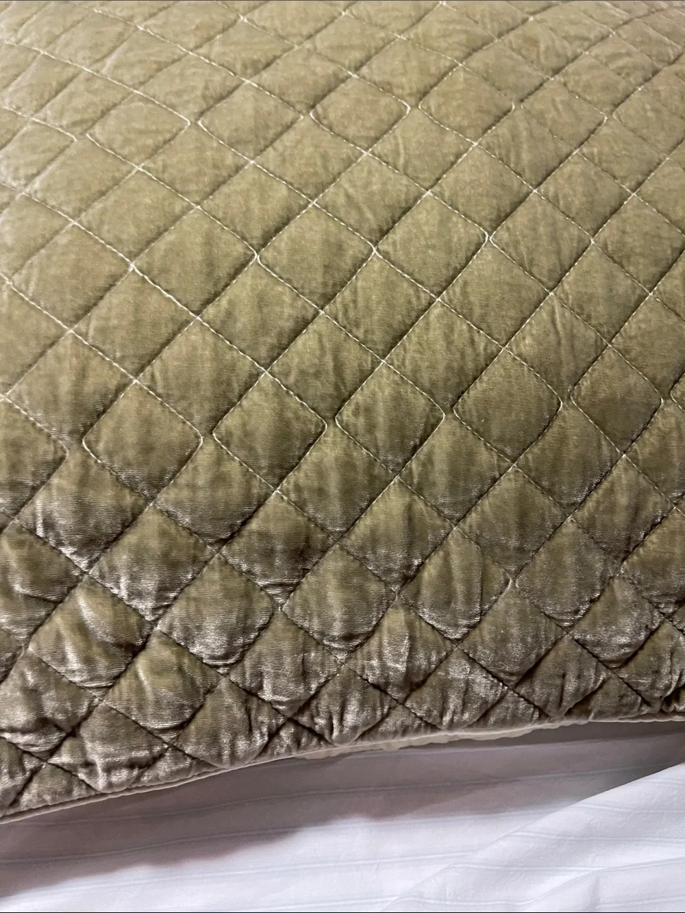 NWOT BELLA NOTTE silk and quilted velvet EURO SHAMS SAND